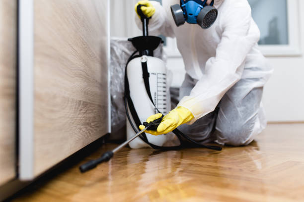 Best Best Pest Control Companies  in Circle D Kc Estates, TX