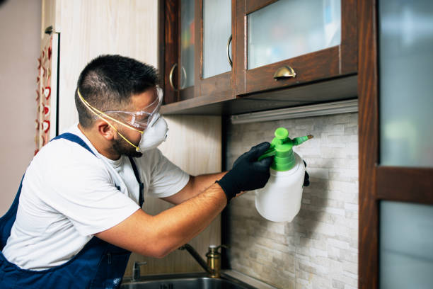 Best Residential Pest Control  in Circle D Kc Estates, TX
