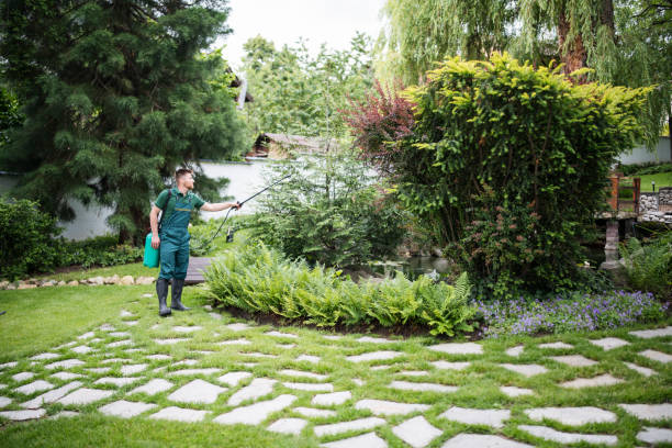 Best Local Pest Control Services  in Circle D Kc Estates, TX
