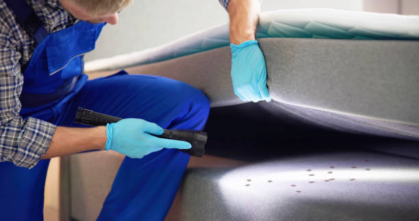 Best Affordable Pest Control Services  in Circle D Kc Estates, TX