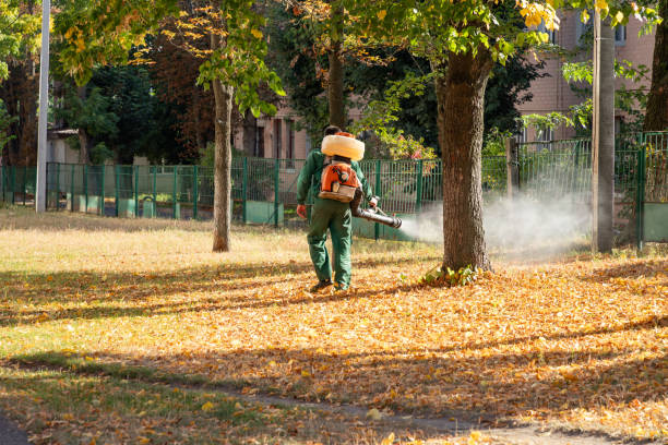 Wasp Removal Services in Circle D Kc Estates, TX