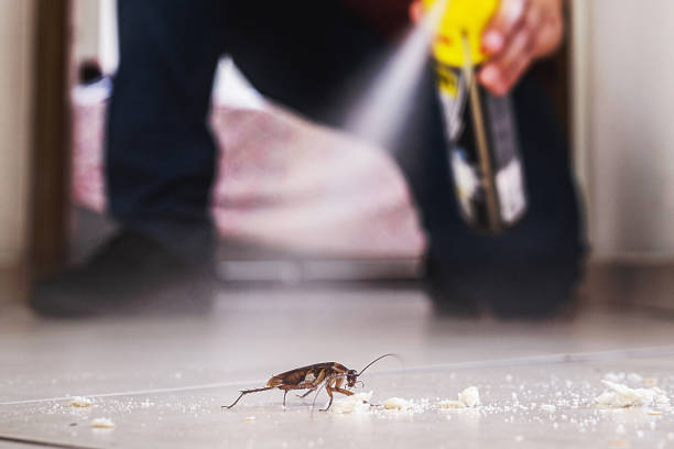 Best Exterminator Services  in Circle D Kc Estates, TX