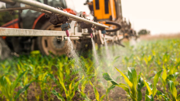 Best Mosquito Control Services  in Circle D Kc Estates, TX